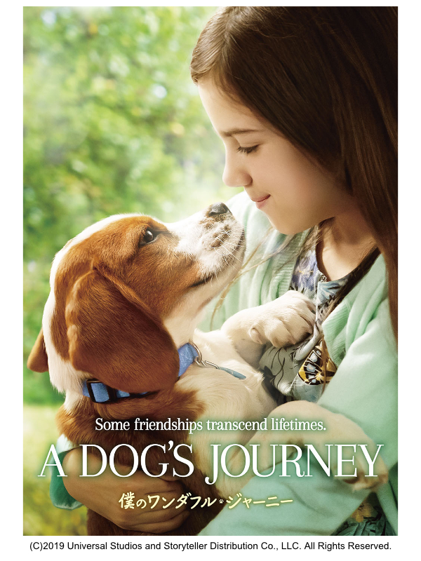 映画上映会「僕のワンダフル・ジャーニー」